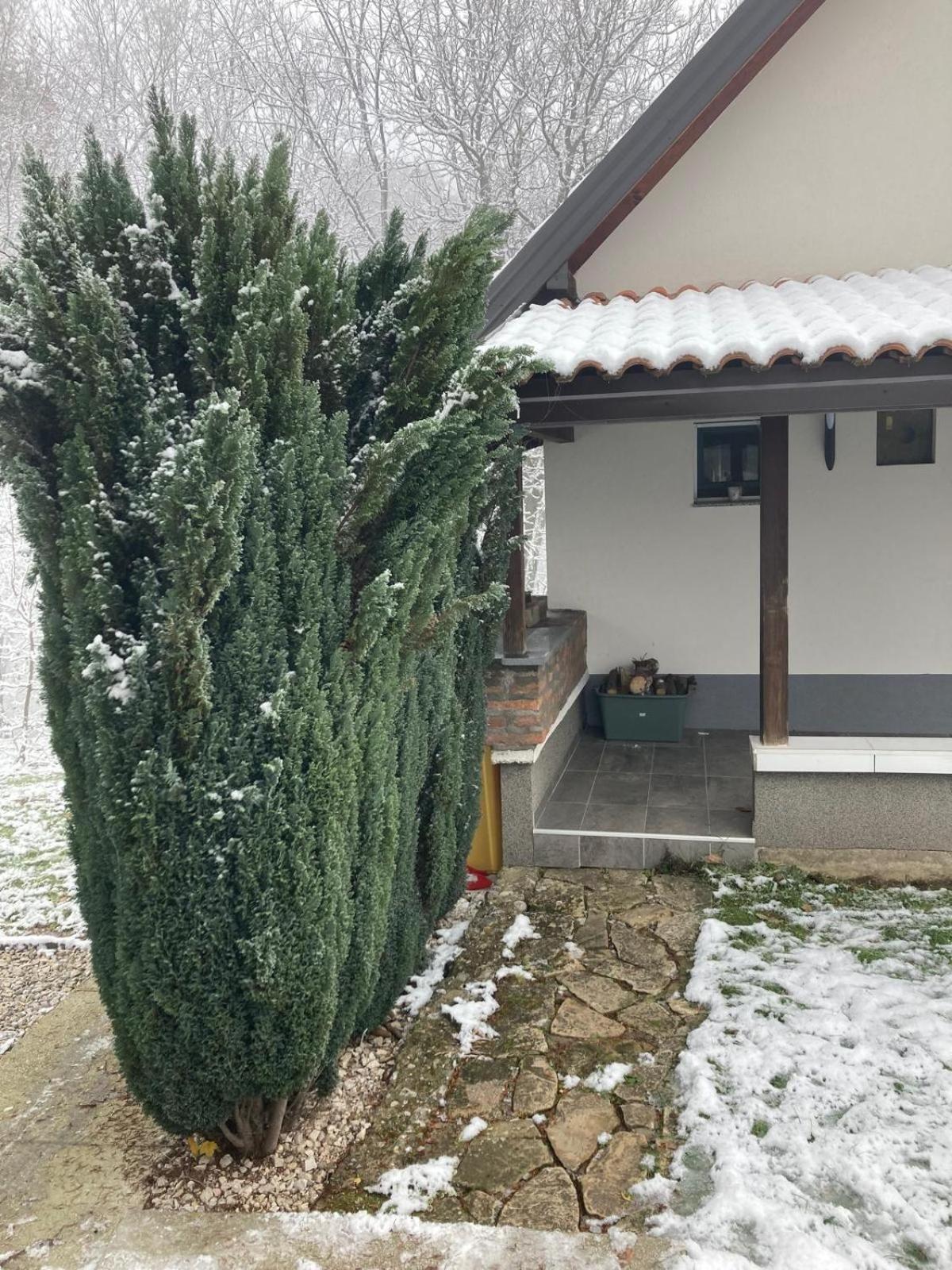 Holiday Home Tunnel Ravne Visoko Exterior foto